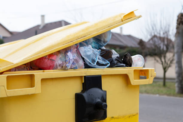 Best Yard Waste Removal  in Long Beach, IN